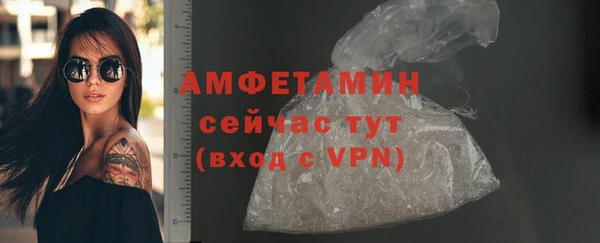 амф Вяземский