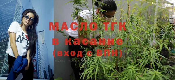 амф Вяземский