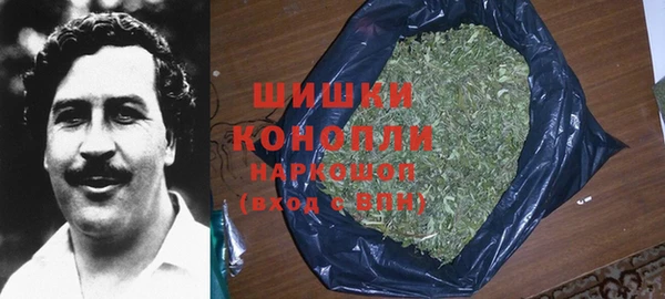 шишки Волоколамск
