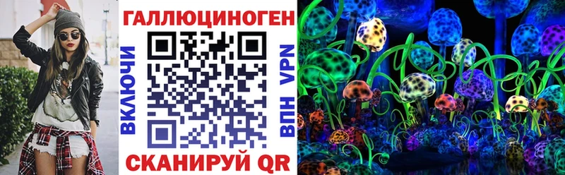Псилоцибиновые грибы Cubensis  Березники 