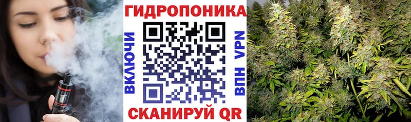 Бошки Шишки THC 21%  Березники 